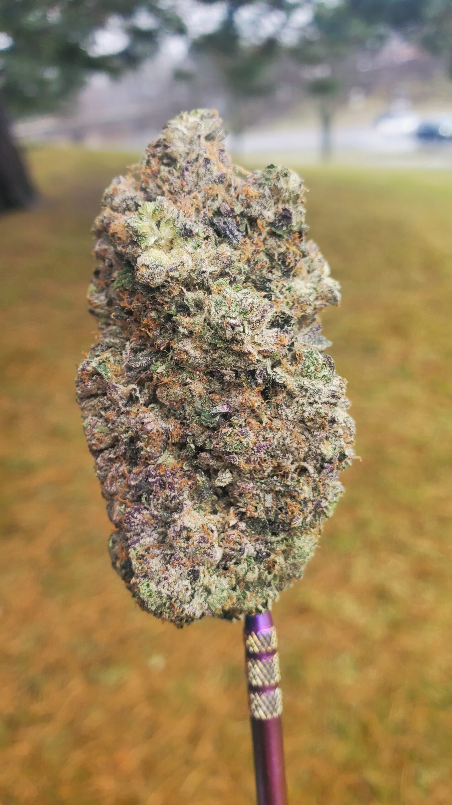 Mike Tyson (AAAA) Ultra Gas! photo review