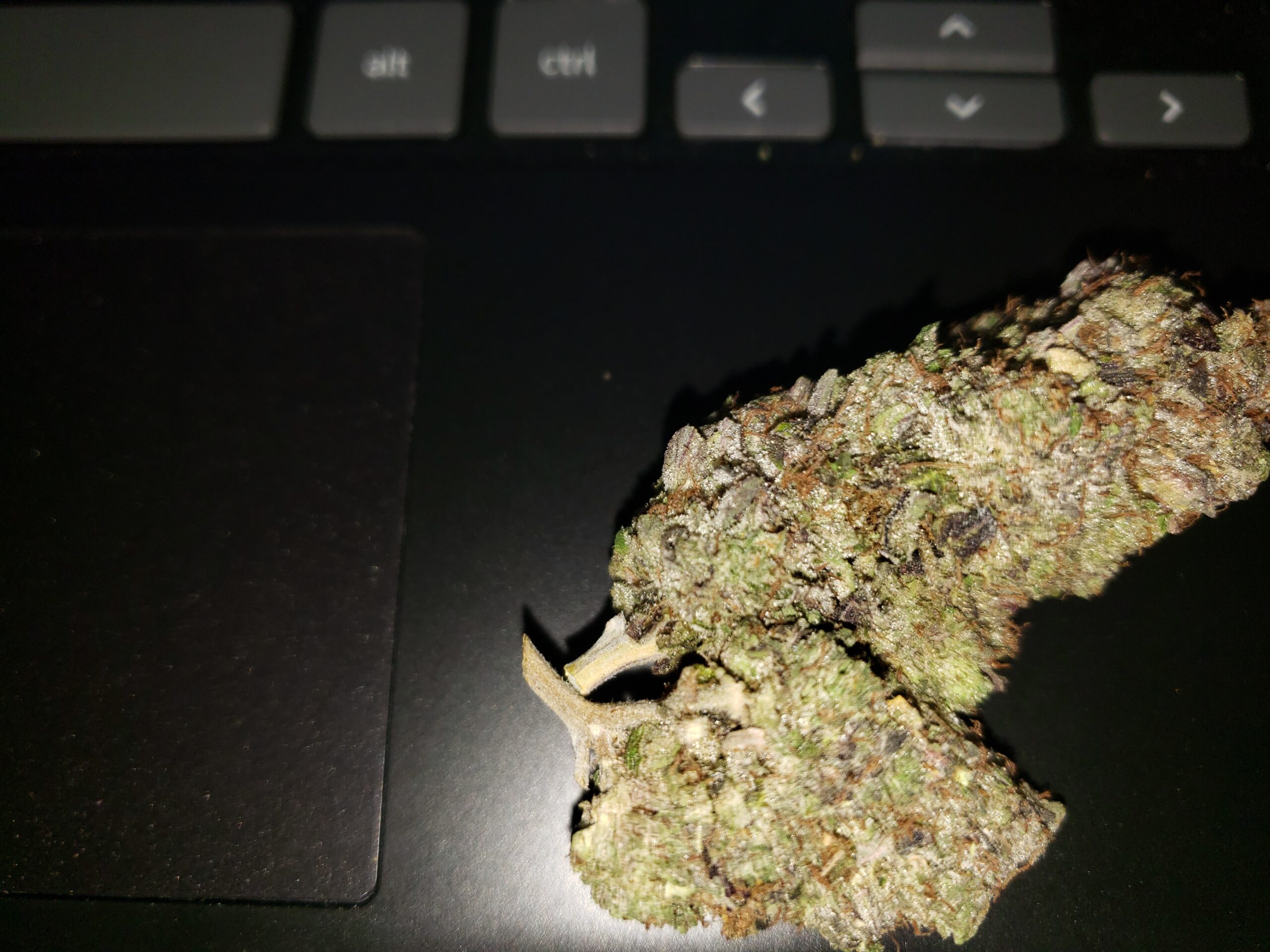 Pink Jet Fuel (AAA) photo review