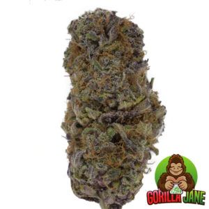 Citrix is a hybrid strain that has a nice citrus taste and flavour. Buy it online at a dispensary today.