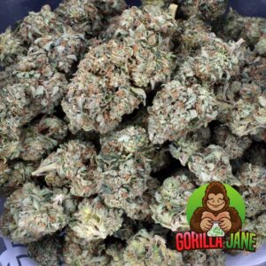 El Muerte is an indica dominant cannabis strain that can be used to treat insomnia, anxiety, pain and depression. Buy ounces of this weed online.