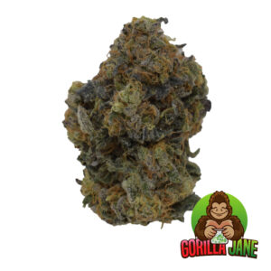 It can be difficult to find Ice Cream Docia cannabis strain at an online dispensary, so pick it up before it gets sold out! This is an indica dominant marijuana strain that can be used to treat anxiety, insomnia and chronic pain!