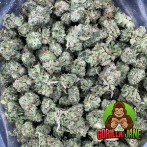 Girl Scout Cookie is an indica dominant strain that offers the perfect balance of body stone and cerebral buzz.