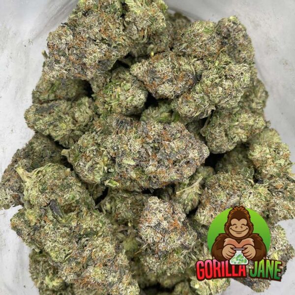High Octane is known for being one of the tastier strains out there. It's a cross of Sunset Sherbert and Octane, and has a gassy flavor mixed in with a smooth, creamy and floral finish. Buy this marijuana strain online.