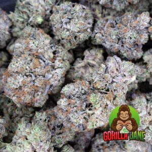 High Octane is known for being one of the tastier strains out there. It's a cross of Sunset Sherbert and Octane, and has a gassy flavor mixed in with a smooth, creamy and floral finish. Buy this marijuana strain online.