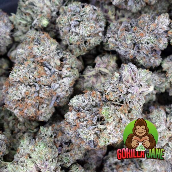 High Octane is known for being one of the tastier strains out there. It's a cross of Sunset Sherbert and Octane, and has a gassy flavor mixed in with a smooth, creamy and floral finish. Buy this marijuana strain online.