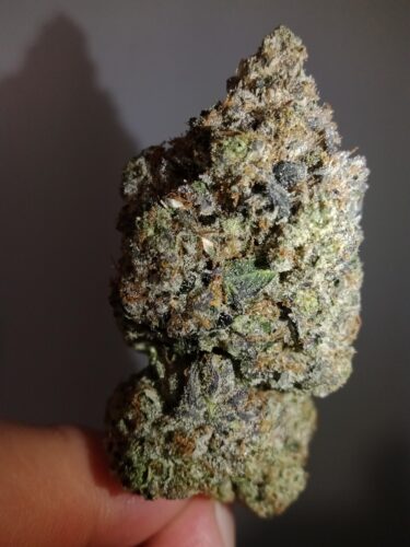 Mike Tyson (AAAA) Ultra Gas! photo review