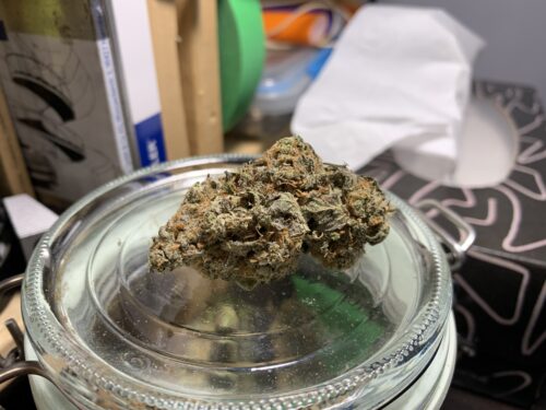 Kootney Pink Kush (AAA+) GAS! photo review