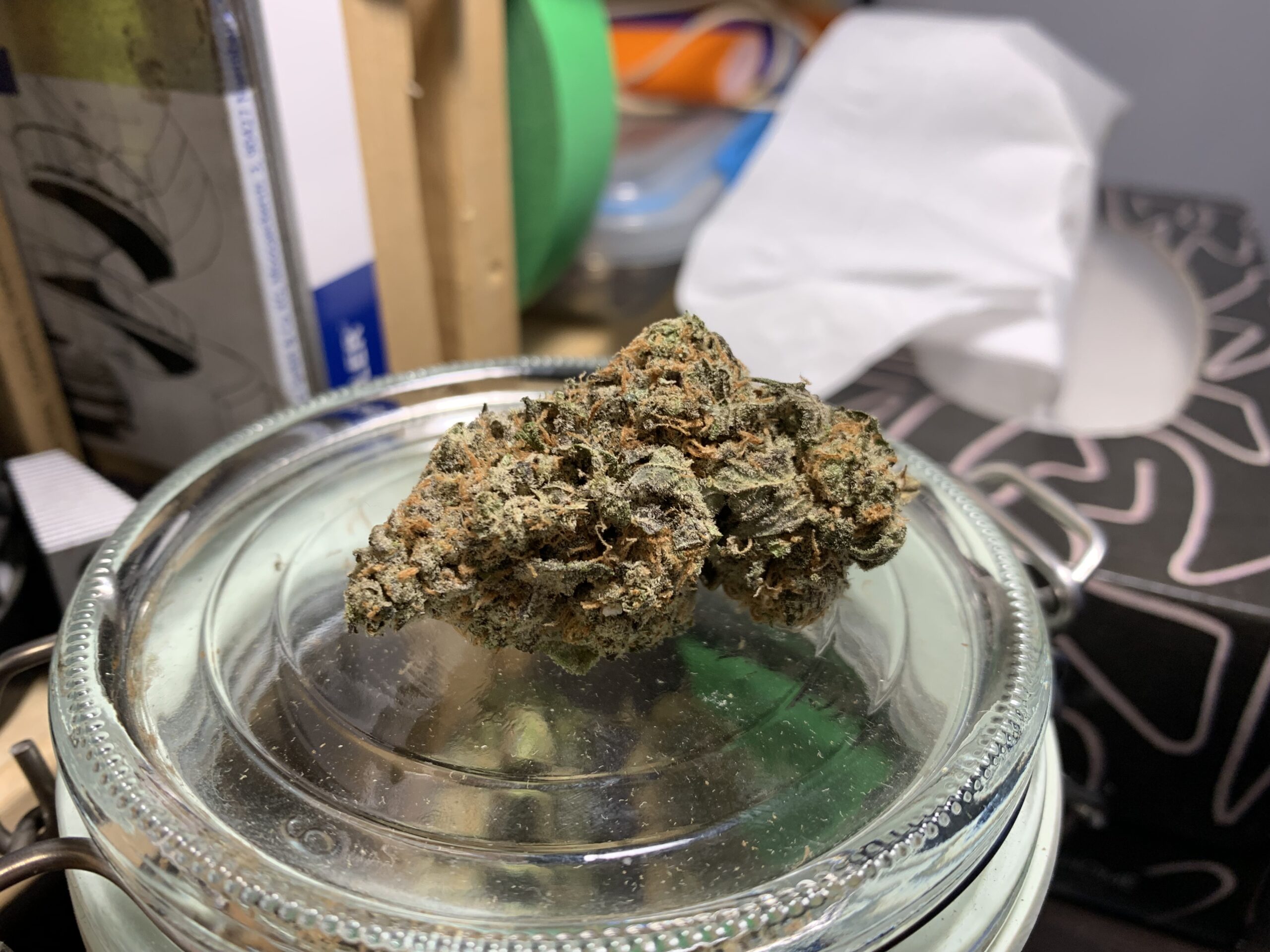 Pink Kush (AAA+) GAS! photo review