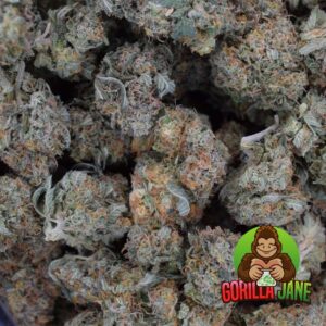 La Chocolope is a sativa-dominant strain that's great for treating chronic depression, fatigue and stress. It tastes like sweet, vanilla coffee!