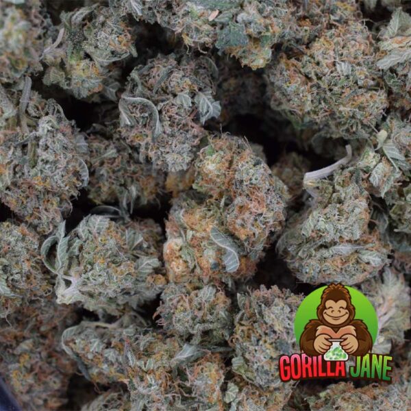 La Chocolope is a sativa-dominant strain that's great for treating chronic depression, fatigue and stress. It tastes like sweet, vanilla coffee!