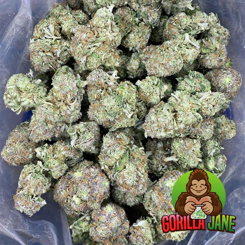 Merry Jane, Master Cannabis Grower
