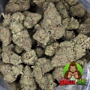 Buy Moby Dick in ounces or in quarter pounds. This is one of the most popular sativa-dominant cannabis strains used by medical marijuana patients.