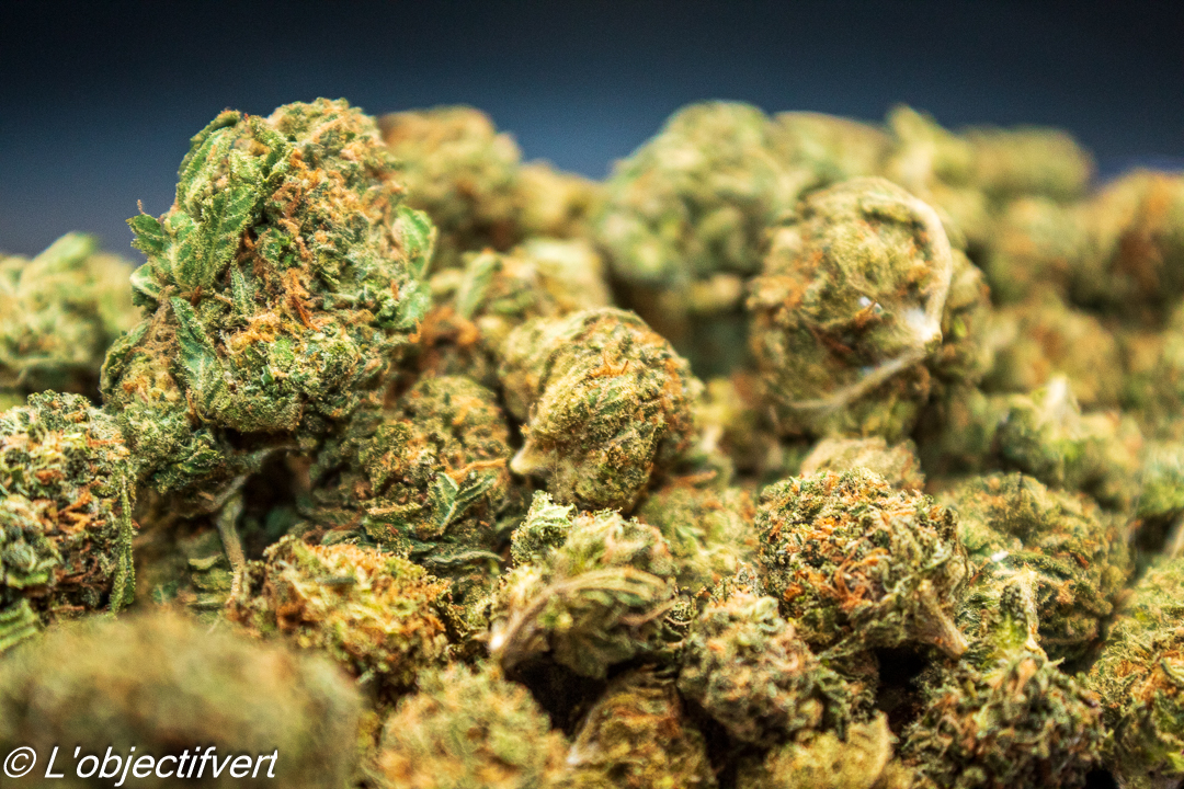 Peanut Butter Breath (AAA+) photo review