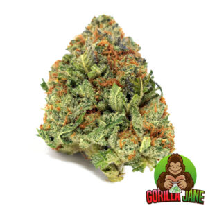 Buy Scout Master online. This cannabis strain is an sativa-dominant weed strain that can be used to treat depression, anxiety, ADHD and more.