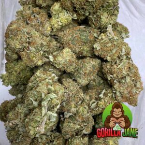 Buy Chemo indica strain online for a great price shipped to your door.
