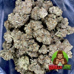 Buy Jack Herer strain and other sativa weed online in Canada.
