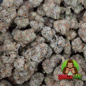 Buy Super Silver Haze strain online in Canada with free shipping.