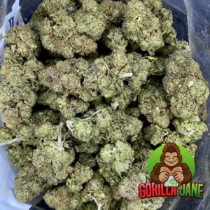 Buy Cannalope Haze online in Canada with fast shipping.