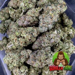 Buy Cannalope Haze online in Canada with fast shipping.