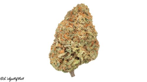 Pineapple Express (AAA+) photo review