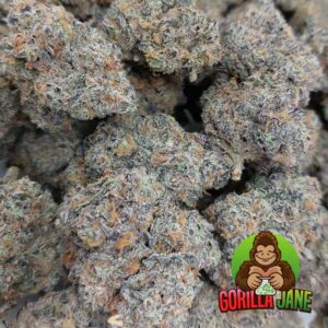 Buy craft cannabis online in Canada from Gorilla Jane.