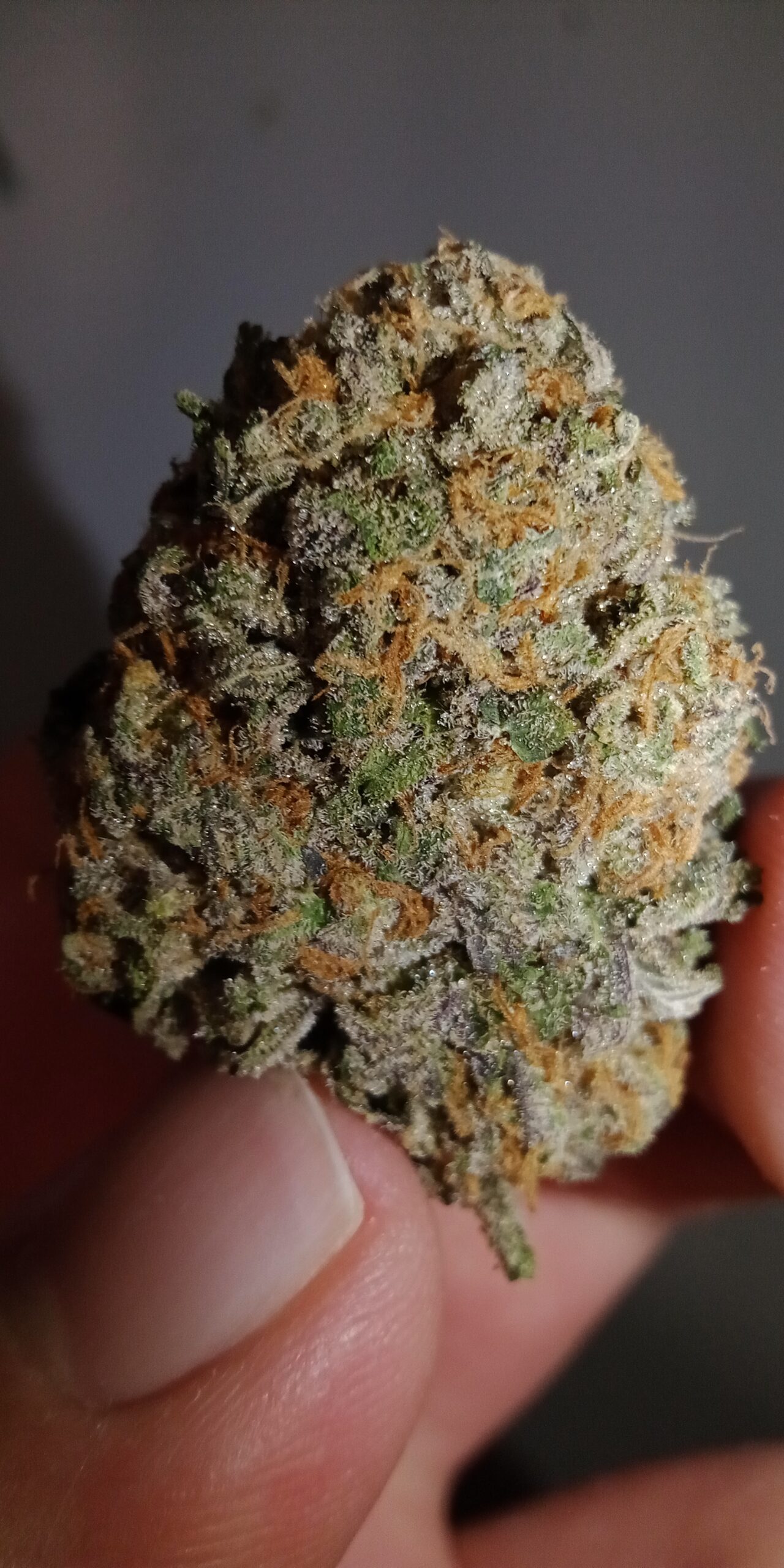 Orange Crush (AAA+) photo review
