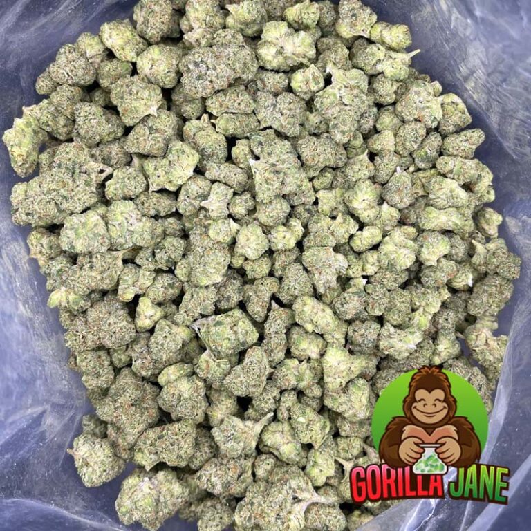 Mint Chocolate Chip Strain Gorilla Jane Online Dispensary