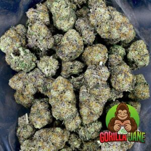 La Peyote Kush is an pure indica strain that comes from the LA Kush and Peyote Purple lineage. It's flavours are earthy and gassy.