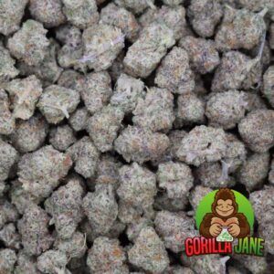 Frisian Dew is a perfect hybrid cannabis plant with a fresh, fruity, floral taste and aroma. It can vary from fruity to slightly lemony.