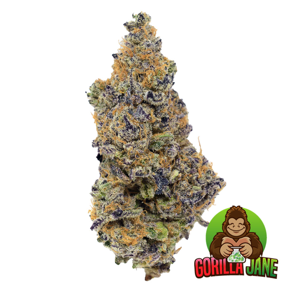 Flap Jacks Strain Gorilla Jane Online Dispensary Canada