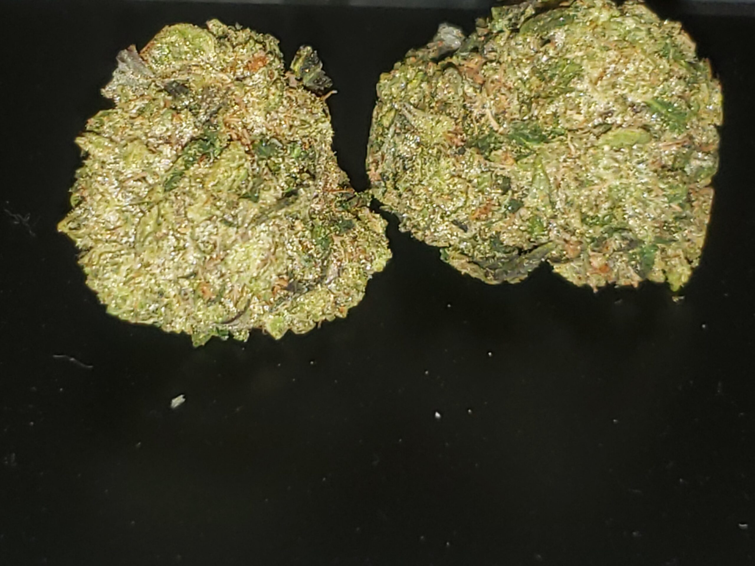 Astro Pink (AAAA) GAS! photo review