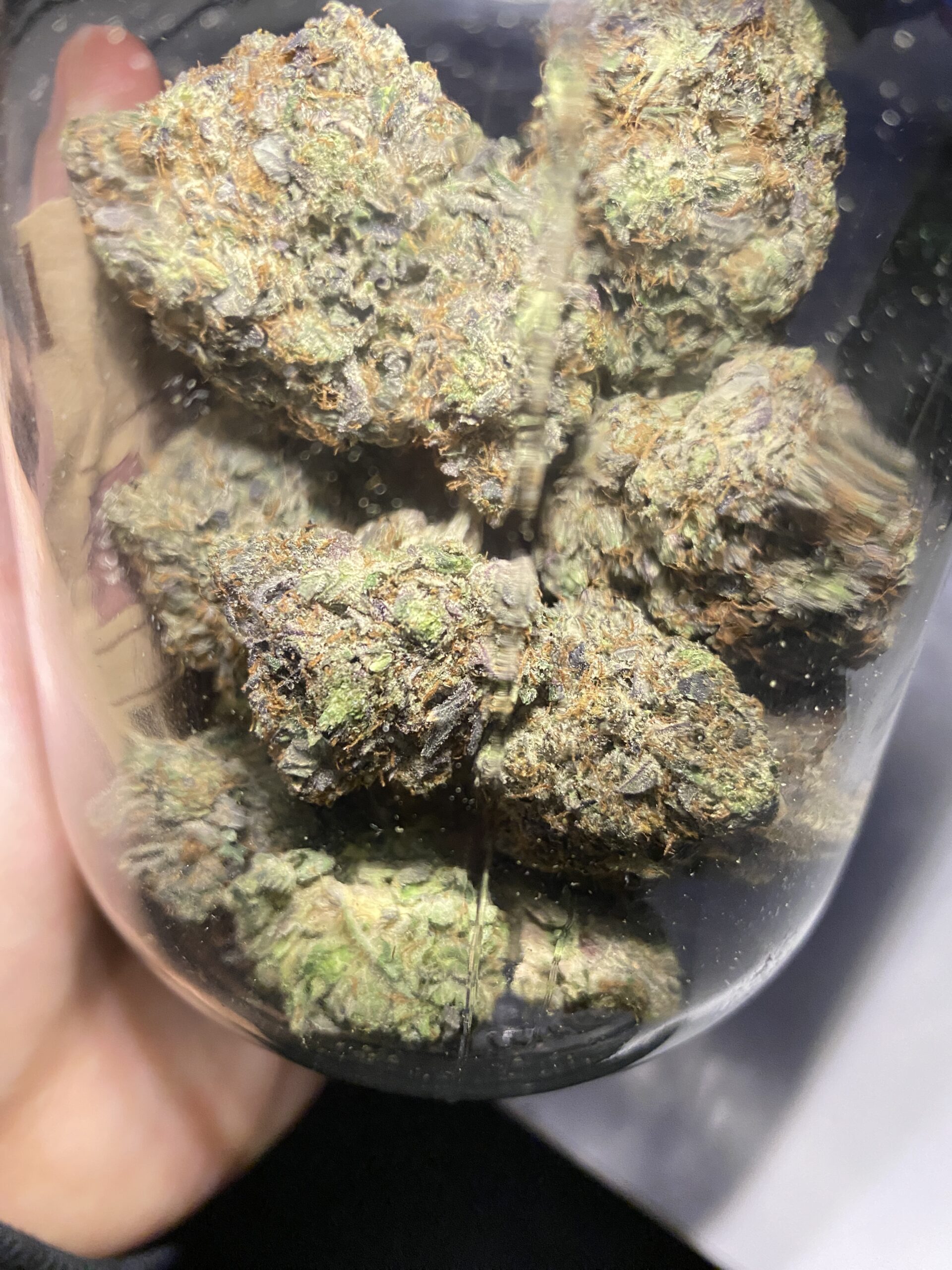 Astro Pink (AAAA) GAS! photo review