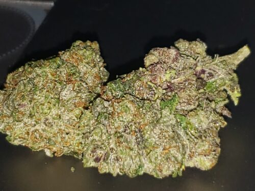 El Chapo (AAA+) GAS photo review