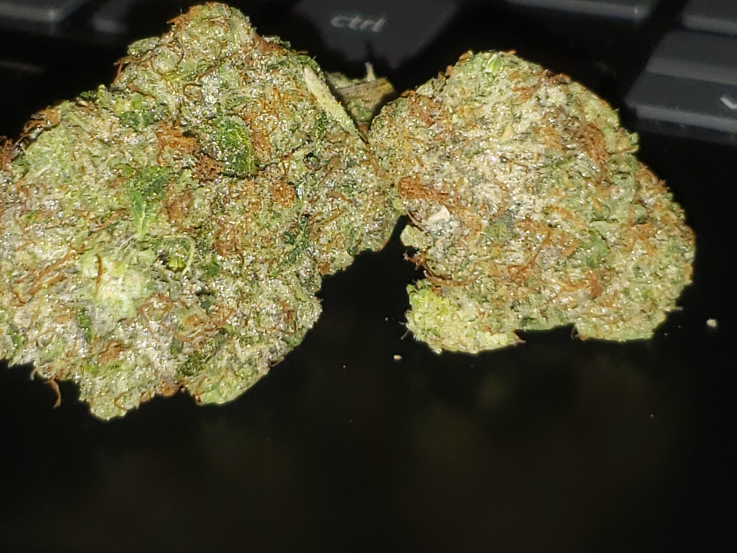 LSO Rockstar Tuna (Quad Smalls) photo review