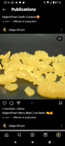 Berry Blast Live Resin photo review