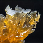 Mimosa Punch Shatter photo review