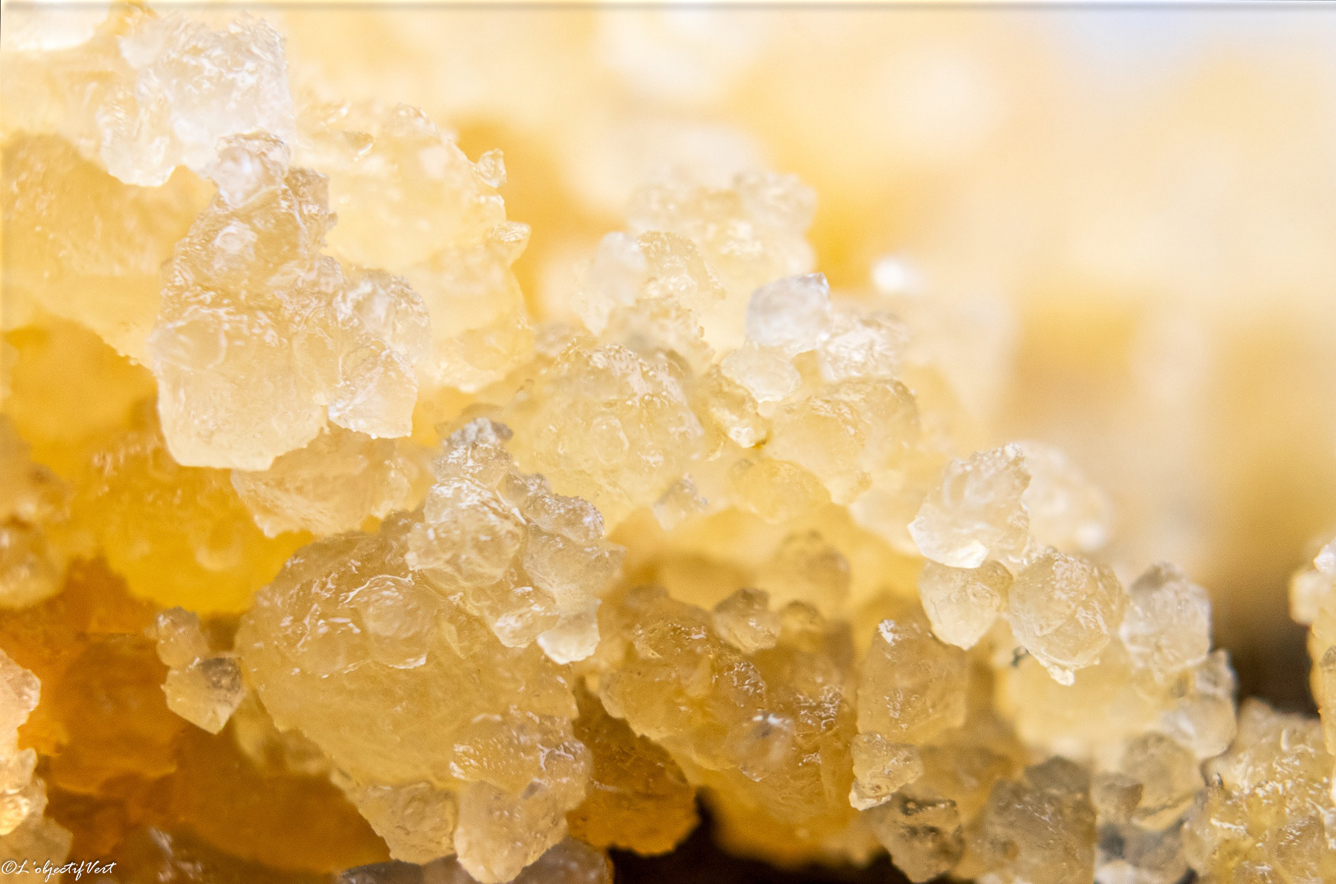 Pass Out Pink Live Resin Caviar photo review
