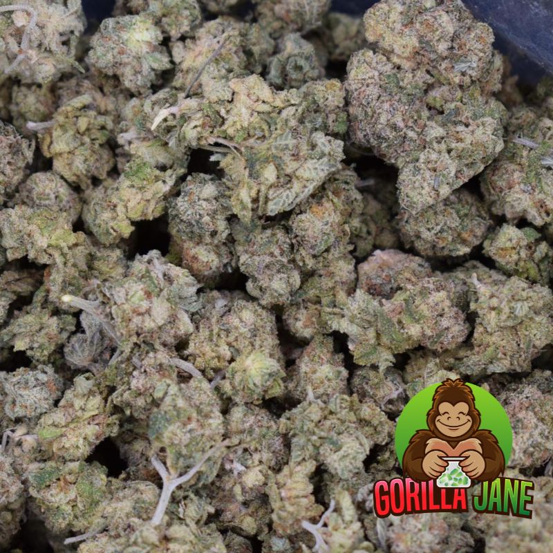 Jelly Bean (AAA+) Smalls